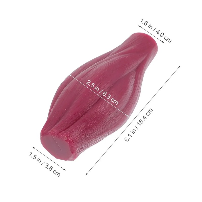 1-pound Human Muscle and Fat R - đánh giá và giá Nutrition Of Fitness